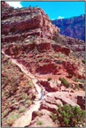 Pocket Quads Arizona National Parks Edition