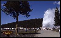 Pocket Quads Yellowstone & Grand Teton National Parks Edition